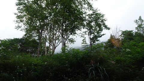 DSC00426