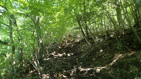 P5260093