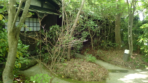 P5260202