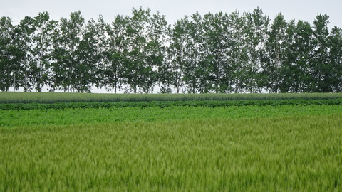 DSC00244