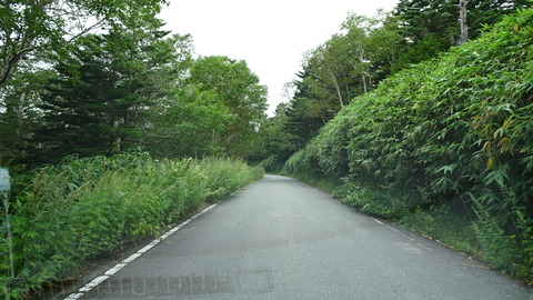 DSC00453