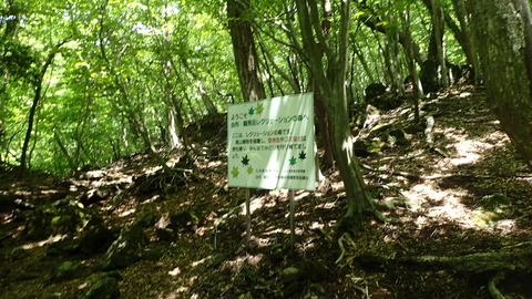 P5260103