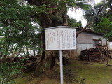 DSC02193