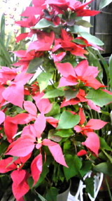 8213f5f6.jpg