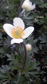 97e59760.jpg