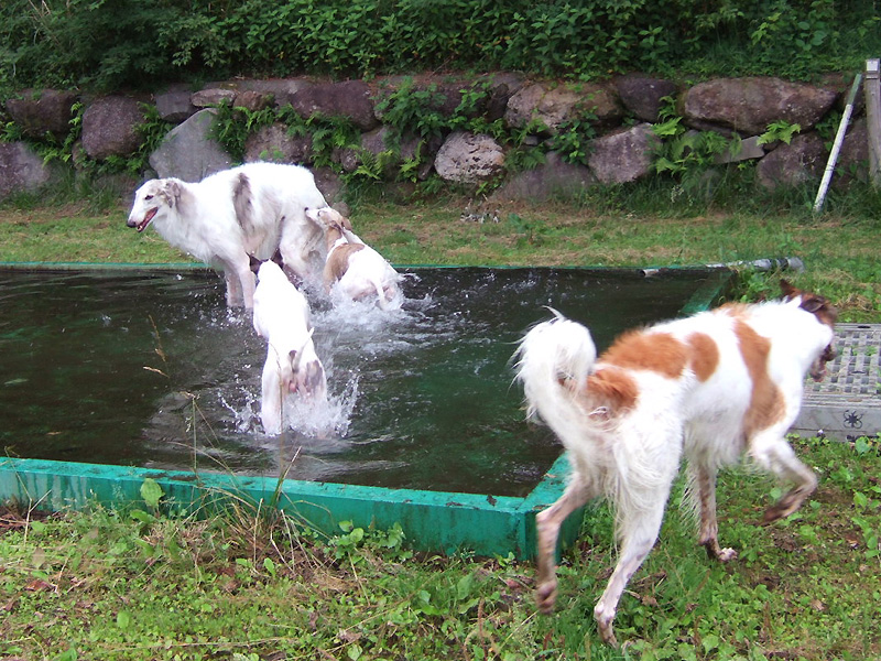 シャラ&珊瑚