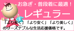 レギュラー