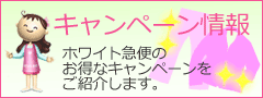 キャンペーン情報