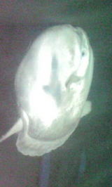 6ccc6180.jpg