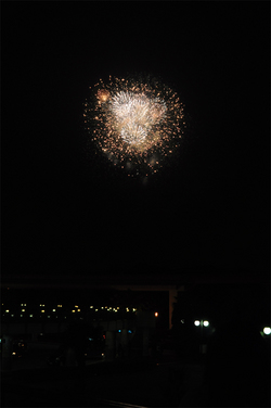 Fireworks_001