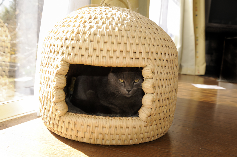 Cat bed cat cave knitting Cat bed, Diy pet bed, Feline meow