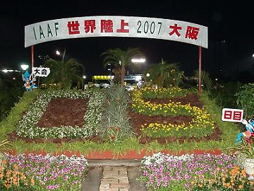 2622b0f5.jpg