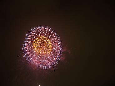 6d99c8de.jpg