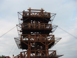 726b34f9.jpg