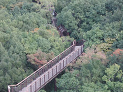 c9cb12f5.jpg