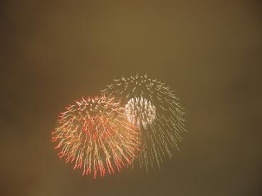 cd81e7a3.jpg