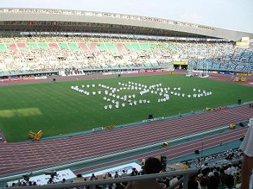 d10c51f8.jpg