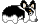 corgi183