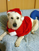 chiristmas