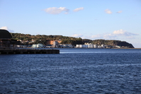 IMG_2819