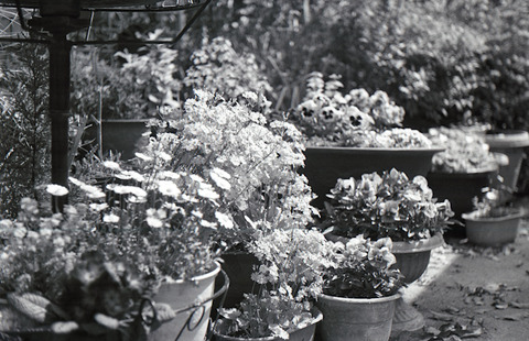 img195-30