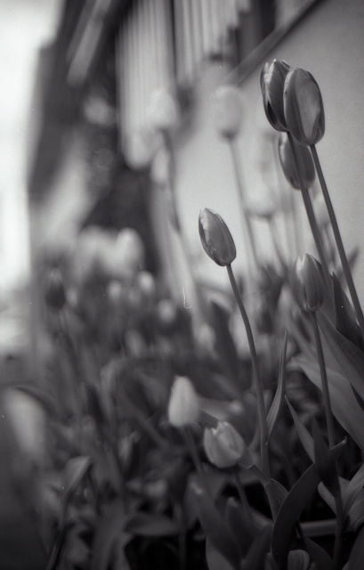 img031-12
