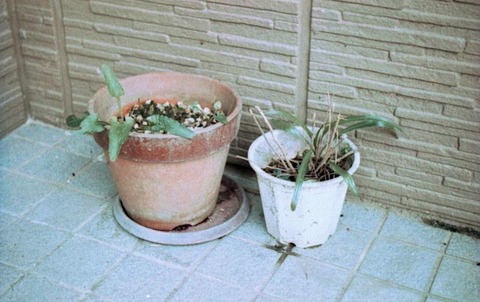 img543-7