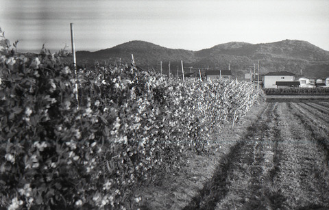 img224-60