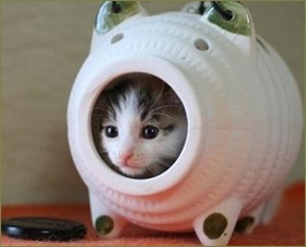 つまらないことで喧嘩するたびに車中泊したり、部屋に閉じ込もって私と娘が寝るのを見計らい入浴する旦那。もう10日も顔を合わせてない。いいかげん疲れる