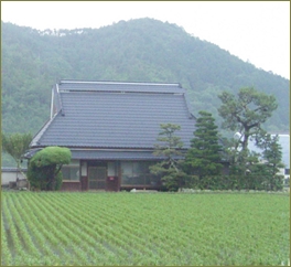 義兄嫁が馬鹿にするド田舎の私の実家に義兄子を連れて行ってみた。義兄子は大喜び。「山村留学する！」と言い出し教育ママの義兄嫁が発狂