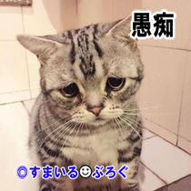 愚痴3