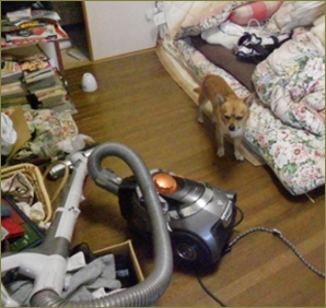 妻が専業主婦なのに半年に一度しか掃除機をかけない。当然家も汚部屋。やってと言うと逆ギレする。妻母には「この子昔から掃除しないのよ~ごめんなさいね~」と言われた
