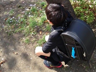 しょうがくせい