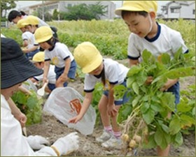 【後編】農作業の手伝いをしてくれてる友人に芋を分けてる。それを聞いた友人の友人「手伝いに行きた～い☆いっぱい持って帰ろうね！」