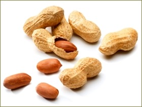 peanut