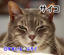 サイコ4