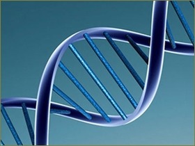 dna