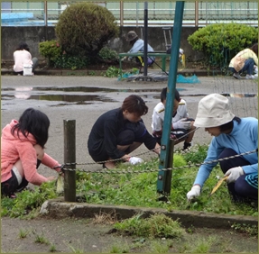 保育所の奉仕活動に行ってと妻から頼まれた。妻は妊娠中だし以前流産したので気持ちはわかるが、女性ばかりの場に男一人で行くなんて耐えられない