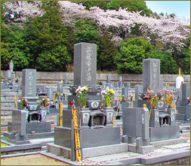 旦那の実父が亡くなった。「俺は養子に出された身。相続はしない」と相続放棄したくせに、他の兄弟にいい格好したくて墓代を出したいと言い出した