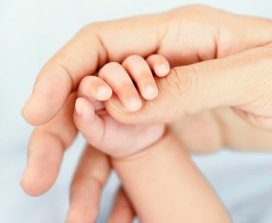 shutterstock_182419310-480x320
