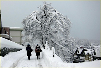 新潟に赴任してから嫁が鬱になった。「雪ばっかり」「寒い」「一日じゅう雪かきばっかり。もういや」北海道育ちの俺からすると可愛いもんなんだが…