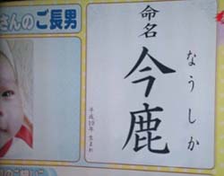 なうしか