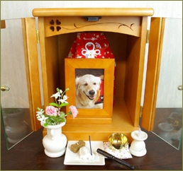 愛犬が危篤だって。明日の朝一で実家に帰るけど間に合わないかも。もっと散歩とかしてやればよかった