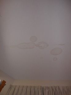 120121 (6)