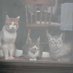 貴重な3ショット(まえ)