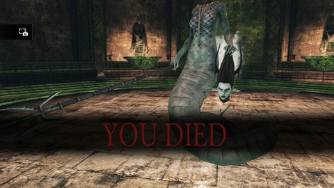 DARK SOULS Ⅱ SCHOLAR OF THE FIRST SIN_20150613151945