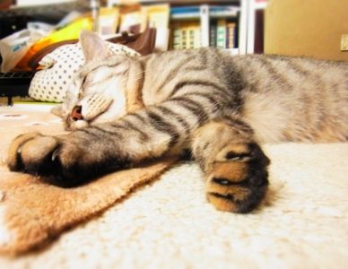 asleep