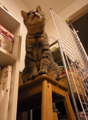 maru