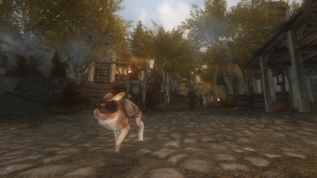Dovahbit 005