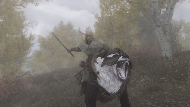 Dovahbear 007